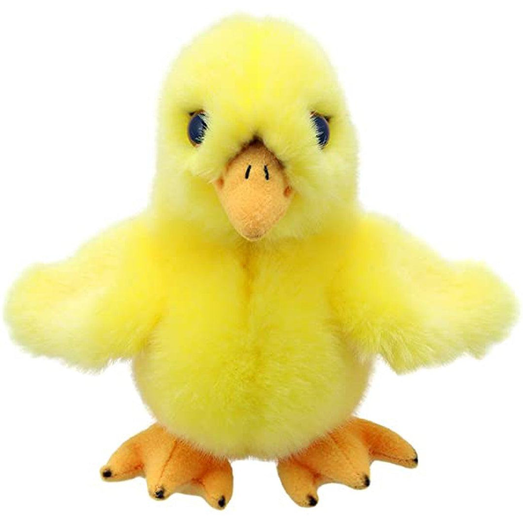 Wilberry Mini's - Chick